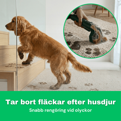 SE: CleanFriend SpotCleaner™ mattrengörare 5