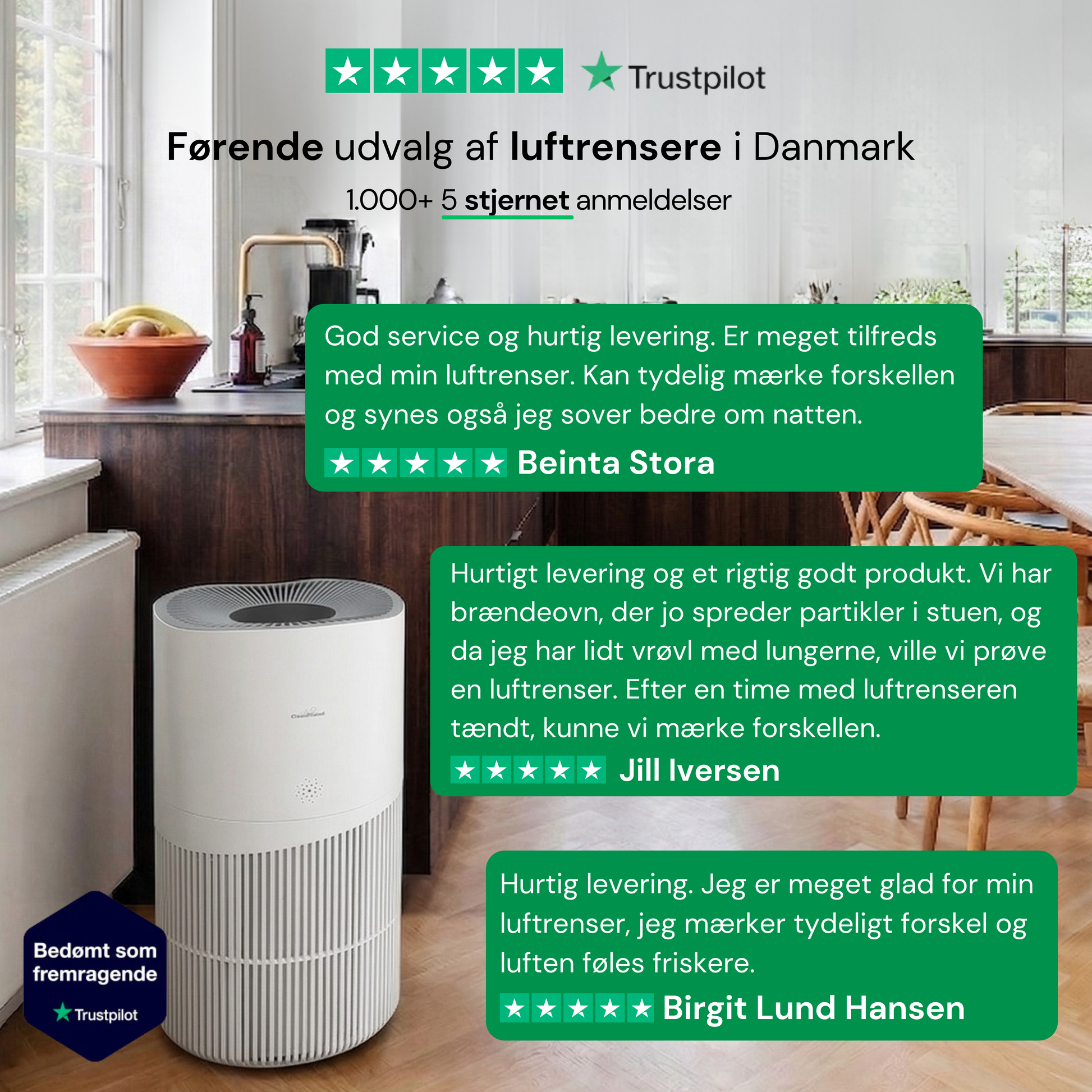 CleanFriend AirFlow70™ luftrenser – i dansk hjem