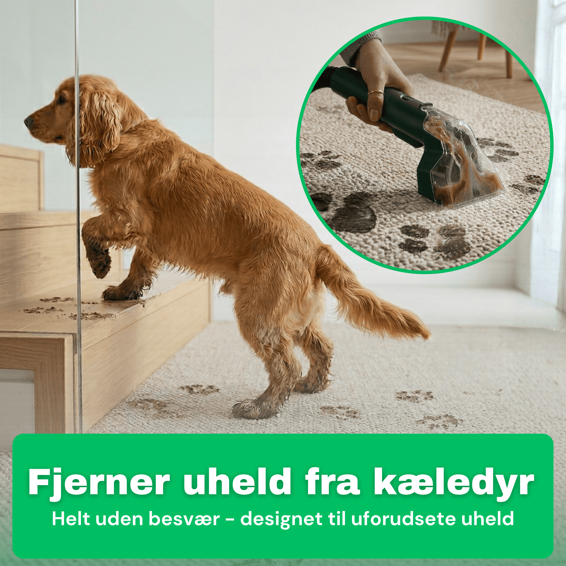 CleanFriend SpotCleaner™ tæpperenser – rengøring af bilsæde