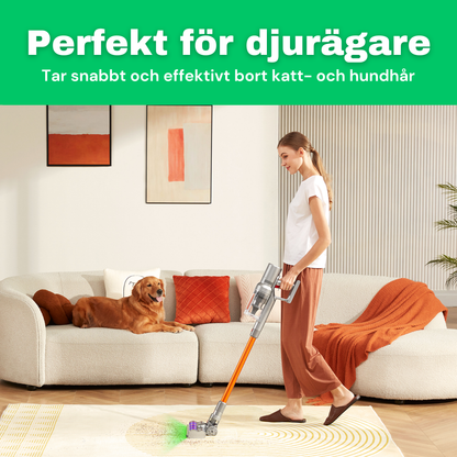 SE: CleanFriend Absolute™ sladdlös dammsugare 4